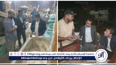 محافظ الدقهلية: تحرير 22 مخالفة في حملة رقابية وتفتيشية على المخابز