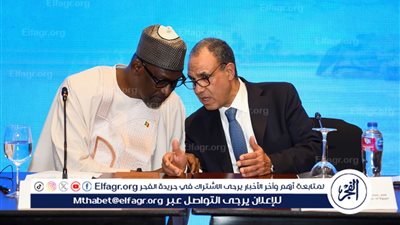 وزير الخارجية يشارك في مائدة مستديرة حول منطقة الساحل