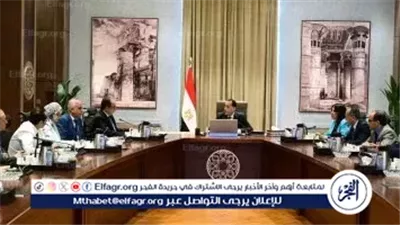 عاجل- رئيس أروجلو العالمية يعلن لمدبولي: محفظة استثمارات الشركة في مصر تبلغ 350 مليون دولار