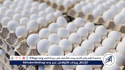 أسعار طبق البيض في أسيوط اليوم الإثنين 20\10\2025