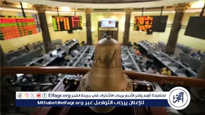 يضم 52 شركة.. خبير اقتصادي يكشف تفاصيل برنامج الطروحات الحكومية