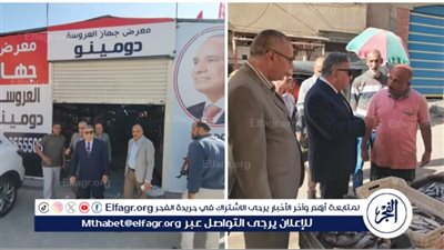 محافظ الدقهلية في زيارة مفاجئة للسنبلاوين: يتفقد سوق السمك الحضاري ومبني مجلس المدينة الجديد