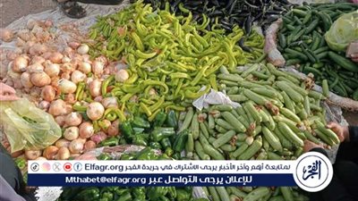 اسعار الخضروات بأسواق المنيا اليوم الثلاثاء 21اكتوبر 2025
