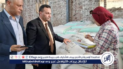 تموين الإسكندرية تضبط 1817 لتر بنزين و35 أسطوانة بوتاجاز و50 شيكارة ردة في حملات رقابية مكثفة