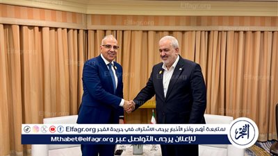 وزير الري المصري يلتقي نظيره الإيراني لبحث التعاون في إدارة الموارد المائية