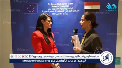 رانيا المشاط: القمة الأوروبية انفراجة للاقتصاد المصري ورجال الأعمال(فيديو)