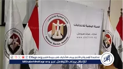 عاجل- الهيئة الوطنية تحدد الحد الأقصى للإنفاق على الدعاية الانتخابية