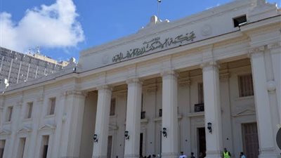 المؤبد أم الإعدام.. إحالة أوراق سائق ونجار متهمين بخطف واغتصاب طفلين بالإسكندرية إلى المفتي