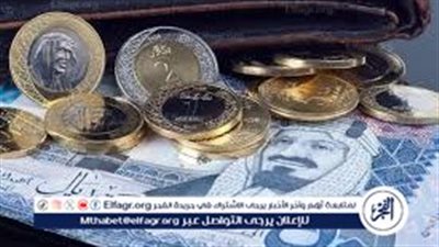 سعر الريال السعودي النهارده في مصر.. مفاجأة في أعلى بنك بيع وشراء!