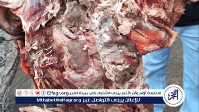 ضبط لحوم غير صالحة للاستهلاك الآدمي وتحرير 300 محضرا تموينيا في أسيوط 
