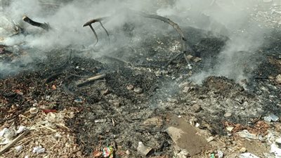 السيطرة على حريق شب في مخلفات أشجار داخل مجمع معاهد بالقليوبية