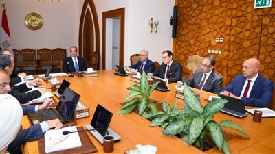 وزير الخارجية: المتحف المصري الكبير يمثل إنجازًا أثريًا وسياحيًا