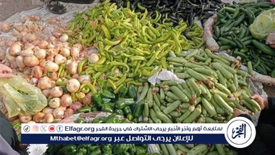 اسعار الخضروات اليوم الإثنين 27اكتوبر 2025 فى أسواق محافظة المنيا