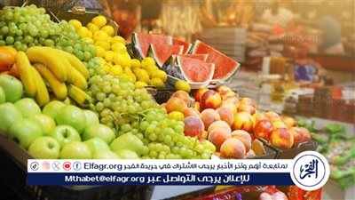 استقرار اسعار الفاكهه اليوم الثلاثاء 28اكتوبر 2025 فى المنيا 