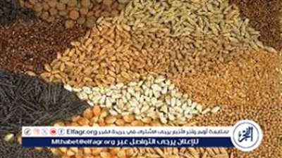 استقرار أسعار الأعلاف والتسمين بأسوان اليوم الثلاثاء 28 أكتوبر 2025