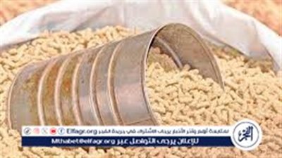 استقرار أسعار العلف والتسمين بأسوان اليوم الأحد 26 أكتوبر 2025