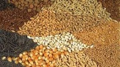 أسعار الأعلاف بأسوان اليوم السبت 25 أكتوبر 2025 … ثبات نسبي وسط ترقّب للمستقبل