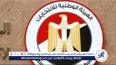 انتخابات النواب 2025| الحد الأقصى للإنفاق على الدعاية الانتخابية