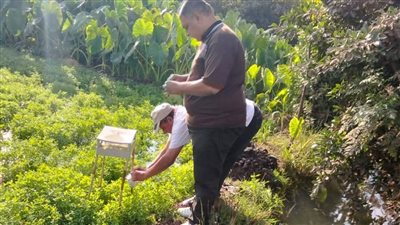 زراعة المنوفية..الاستمرار فى المتابعة على الزراعات الشتوية بمركز الباجور