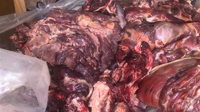 حملات تموينية مكثفة لضبط المخالفات وإحكام الرقابة على الأسواق بالإسكندرية