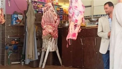 .. تحرير 23 محضرًا لمخالفات تموينية في حملات مكثفة بكوم أمبو والرديسية