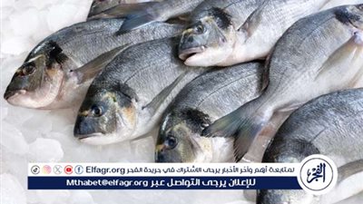 «البلطى» بكام؟ أسعار السمك اليوم الخميس 30 أكتوبر 2025 في أسواق المنيا