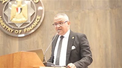 نائب وزير المالية: نعمل على دمج التجارة الإلكترونية بشكل أكبر.. لتعزيز تنوع الاقتصاد المصري