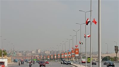 تعليق الأعلام واللافتات الترحيبية بالدول الضيوف على الطرق والمحاور المؤدية للمتحف المصري الكبير