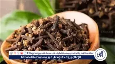 فوائد صحية لمضغ القرنفل يوميًا.. يعزز المناعة وينظم سكر الدم