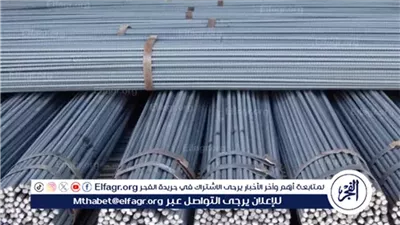 استقرار اسعار الحديد اليوم الأحد 2نوفمبر 2025 فى المنيا 