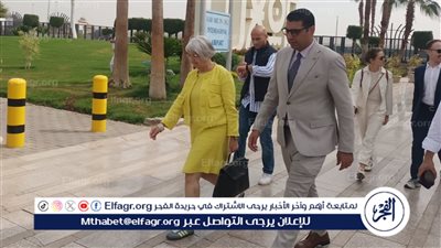 نائب محافظ الأقصر يستقبل المستشارة الفيدرالية السويسرية خلال زيارتها للمحافظة