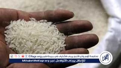 سعر الأرز الأبيض والشعير للمستهلك اليوم الأحد 2نوفمبر 2025 فى المنيا 