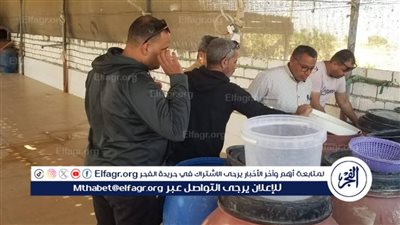 تموين المنيا يضبط مصنع مخللات دون ترخيص ومنتجات غير صالحة للاستهلاك الآدمي