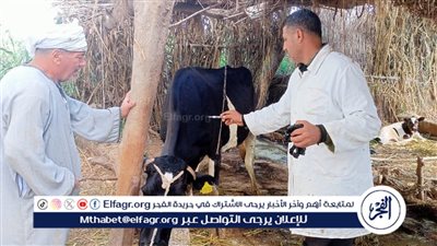 نقابة الفلاحين تشيد بجهود وزارة الزراعة باطلاق حملات قومية مستمرة لحماية ملايين رؤوس الماشية ضد الحمى القلاعية والوادي المتصدع