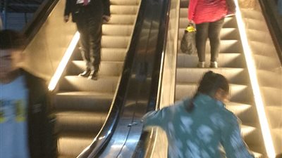 محافظ القليوبية يوجه بتركيب إضاءة 