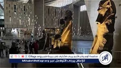 هل هناك أنظمة تأمين للقطع الاثرية؟ الرئيس التنفيذي للمتحف المصري الكبير يجيب