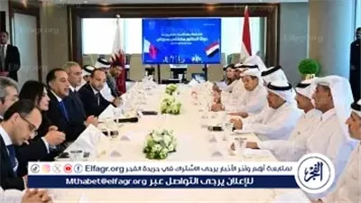 مدبولي: استقرار سوق النقد الأجنبي وسهولة تحويل أرباح الشركات الأجنبية يعززان ثقة المستثمرين في مصر