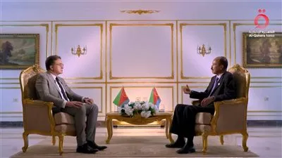 الرئيس الإريتري: تطابق في الرؤى مع مصر فيما يخص الملاحة بالبحر الأحمر