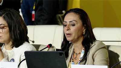 التضامن تشارك في المائدة المستديرة رفيعة المستوى بعنوان 