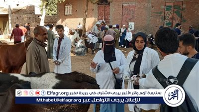 قوافل بيطرية تجوب قرى أسيوط وتعالج نحو 3 آلاف رأس ماشية و6 آلاف دواجن