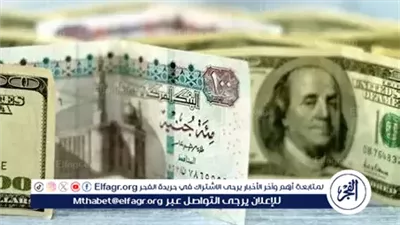 الأخضر الأمريكي الآن.. سعر الدولار اليوم مقابل الجنيه المصري الأربعاء 5 نوفمبر 2025