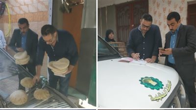 محافظ الدقهلية: تحرير 15 مخالفة بينها نقص وزن وتصرف بالدقيق وعدم إعلان البيانات