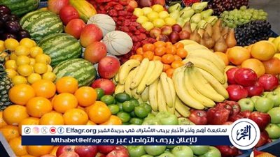 اسعار الفاكهه اليوم الأربعاء 5نوفمبر 2025فى اسواق المنيا 