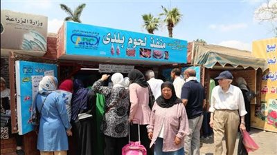 الكيلو بـ 250 جنية والبيض بـ130..تخفيضات 50% على أسعار اللحوم بمنافذ وزارة الزراعة 