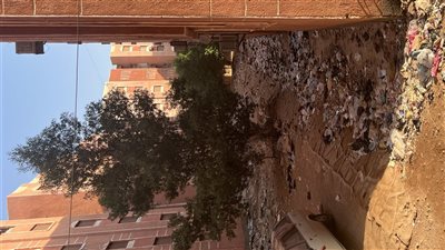 سكان أوقاف 2 بحي الصداقة في أسوان يطالبون المحافظ بالتدخل العاجل: تراكم القمامة رغم خصم رسوم النظافة