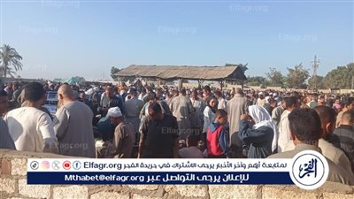 تحصين 44 ألف رأس ماشية ضد الحمى القلاعية والوادي المتصدع ببني سويف