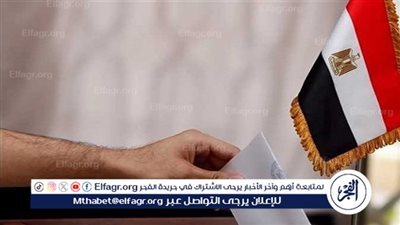 عاجل- المستشار أحمد بنداري: تنسيق كامل بين «الوطنية للانتخابات» و«الخارجية» لمتابعة تصويت المصريين بالخارج في 117 دولة