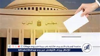 رئيس الجالية المصرية بفرنسا يشيد بتنظيم الانتخابات البرلمانية ويدعو لزيادة المشاركة (فيديو)