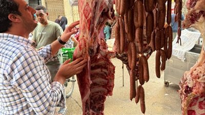 ضبط أكثر من طن لحوم ودواجن ورنجة فاسدة ومجهولة المصدر في الغربية