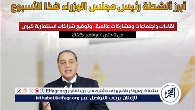 رئيس الوزراء يواصل نشاطه المكثف داخليًا وخارجيًا: استثمارات جديدة وتعاون دولي يعزز التنمية الاقتصادية والاجتماعية